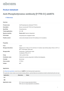 Anti-Phosphotyrosine antibody [P-TYR-01] ab8076 Product datasheet 4 References Overview