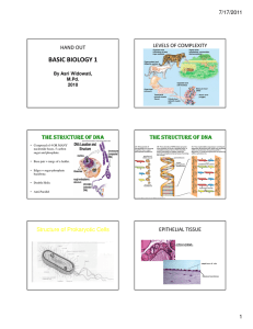 BASIC BIOLOGY 1