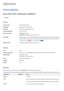 Anti-OR13C9 antibody ab48819 Product datasheet 3 Images