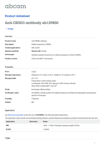 Anti-OR5D3 antibody ab129850 Product datasheet 1 Image Overview