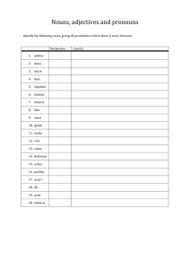 Nouns, adjectives and pronouns   