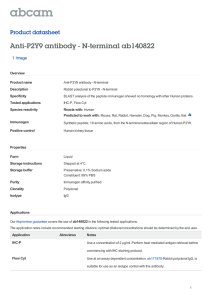 Anti-P2Y9 antibody - N-terminal ab140822 Product datasheet 1 Image Overview