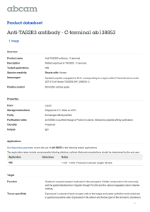 Anti-TAS2R3 antibody - C-terminal ab138853 Product datasheet 1 Image Overview
