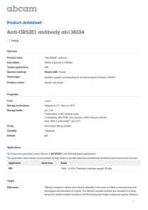 Anti-OR52E1 antibody ab138224 Product datasheet 1 Image Overview