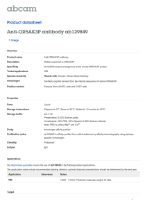 Anti-OR5AK3P antibody ab129849 Product datasheet 1 Image Overview