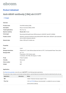Anti-ARA9 antibody [1B6] ab131577 Product datasheet 2 Images Overview
