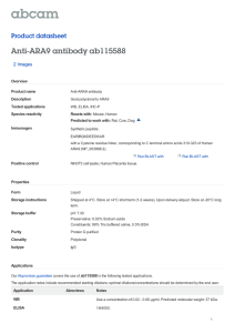 Anti-ARA9 antibody ab115588 Product datasheet 2 Images