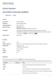 Anti-ARA9 antibody ab48833 Product datasheet 1 References 1 Image