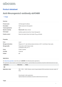 Anti-Neurogenin3 antibody ab93488 Product datasheet 1 Image Overview