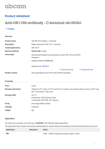 Anti-OR11H4 antibody - C-terminal ab185361 Product datasheet 2 Images Overview
