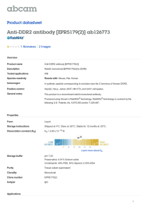 Anti-DDR2 antibody [EPR5179(2)] ab126773 Product datasheet 1 Abreviews 2 Images