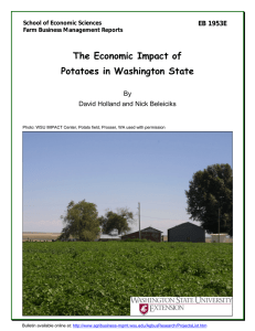 The Economic Impact of Potatoes in Washington State EB 1953E