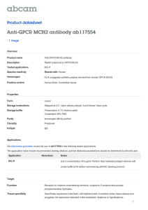 Anti-GPCR MCH2 antibody ab117554 Product datasheet 1 Image Overview