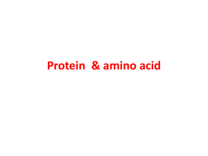 Protein  &amp; amino acid