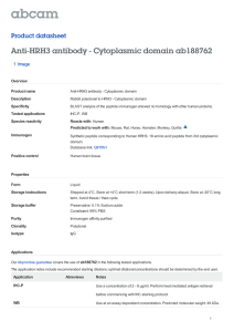 Anti-HRH3 antibody - Cytoplasmic domain ab188762 Product datasheet 1 Image Overview