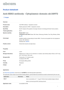 Anti-HRH3 antibody - Cytoplasmic domain ab188972 Product datasheet 2 Images Overview