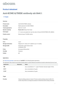 Anti-KCNK18/TRESK antibody ab106411 Product datasheet 4 Images Overview