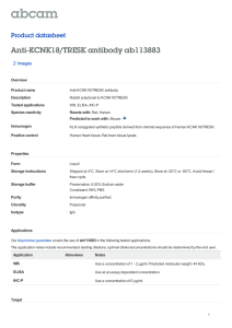 Anti-KCNK18/TRESK antibody ab113883 Product datasheet 2 Images
