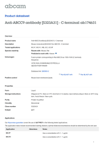 Anti-ABCC9 antibody [S323A31] - C-terminal ab174631