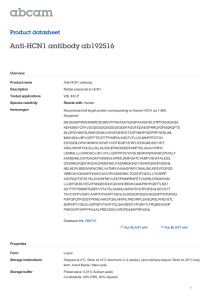 Anti-HCN1 antibody ab192516 Product datasheet Overview Product name