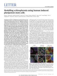 LETTER Modelling schizophrenia using human induced pluripotent stem cells
