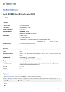 Anti-KCNC3 antibody ab60170 Product datasheet 1 Image
