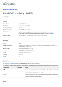 Anti-KCNE2 antibody ab69376 Product datasheet 2 Images Overview