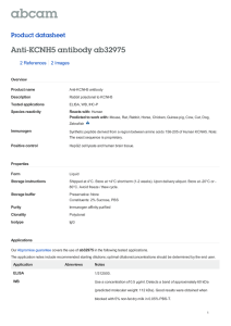 Anti-KCNH5 antibody ab32975 Product datasheet 2 References 2 Images