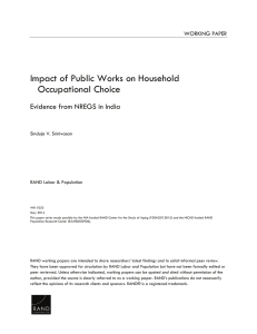 Impact of Public Works on Household Occupational Choice WORKING PAPER