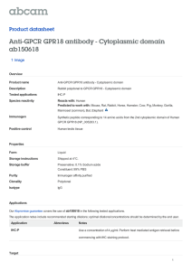 Anti-GPCR GPR18 antibody - Cytoplasmic domain ab150618