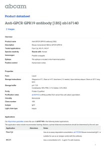 Anti-GPCR GPR19 antibody [1B5] ab167140 Product datasheet 2 Images Overview