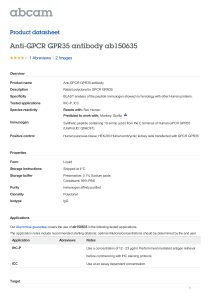 Anti-GPCR GPR35 antibody ab150635 Product datasheet 1 Abreviews 2 Images