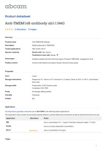Anti-TMEM16B antibody ab113443 Product datasheet 2 Abreviews 3 Images