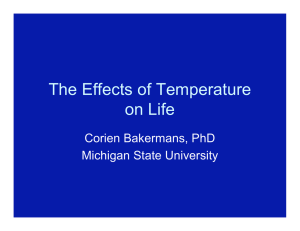 The Effects of Temperature on Life Corien Bakermans, PhD Michigan State University