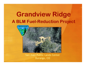 Grandview Ridge A BLM Fuel-Reduction Project San Juan Public Lands Center Durango, CO