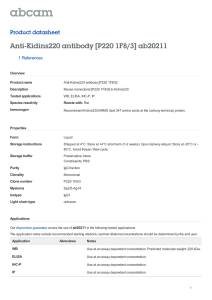 Anti-Kidins220 antibody [P220 1F8/3] ab20211 Product datasheet 1 References Overview