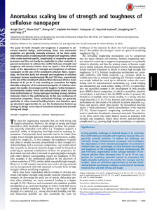 Anomalous scaling law of strength and toughness of cellulose nanopaper