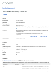 Anti-APXL antibody ab86265 Product datasheet 1 Image