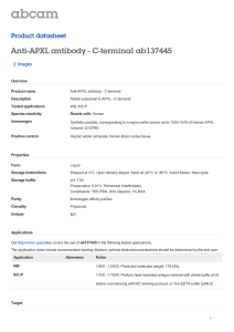Anti-APXL antibody - C-terminal ab137445 Product datasheet 2 Images Overview