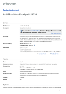 Anti-Nav1.8 antibody ab114110 Product datasheet