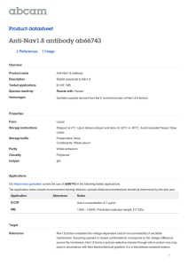 Anti-Nav1.8 antibody ab66743 Product datasheet 2 References 1 Image