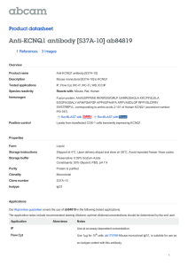 Anti-KCNQ1 antibody [S37A-10] ab84819 Product datasheet 1 References 3 Images