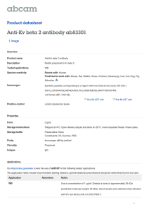 Anti-Kv beta 2 antibody ab83301 Product datasheet 1 Image