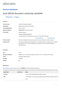 Anti-5HT2A Receptor antibody ab66049 Product datasheet 1 References 3 Images