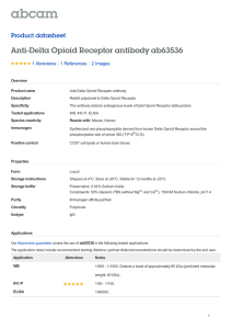 Anti-Delta Opioid Receptor antibody ab63536 Product datasheet 1 Abreviews 2 Images