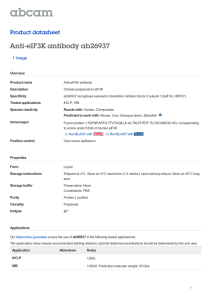 Anti-eIF3K antibody ab26937 Product datasheet 1 Image Overview