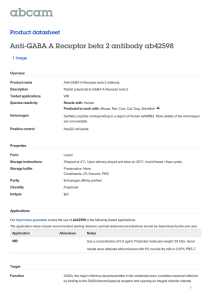 Anti-GABA A Receptor beta 2 antibody ab42598 Product datasheet 1 Image