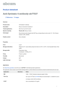 Anti-Syntaxin 4 antibody ab77037 Product datasheet 2 References 5 Images