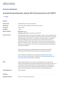 Acetylcholinesterase Assay Kit (Colorimetric) ab138871