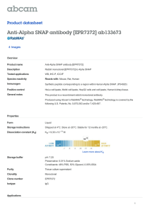 Anti-Alpha SNAP antibody [EPR7372] ab133673 Product datasheet 4 Images Overview